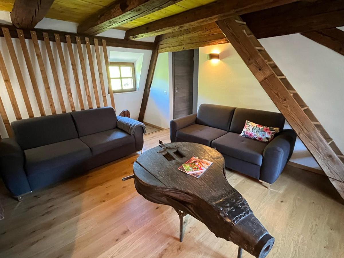 Domaine La Cour Des Nobles - Demeure, Maison Et Appartements Au Coeur De Рикевир Экстерьер фото